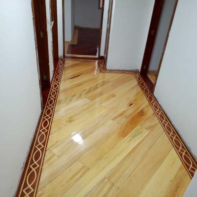 20072026 Imagen 12